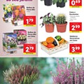 Antevisão Folheto LIDL Promoções de 7 a 13 setembro p40.jpg